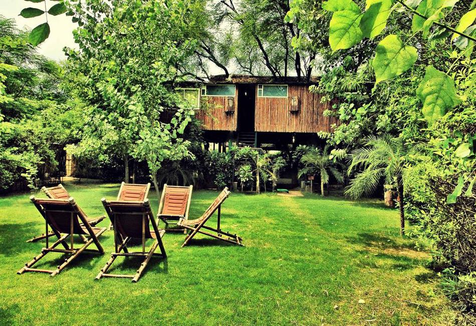 Tree House Resort, Jaipur